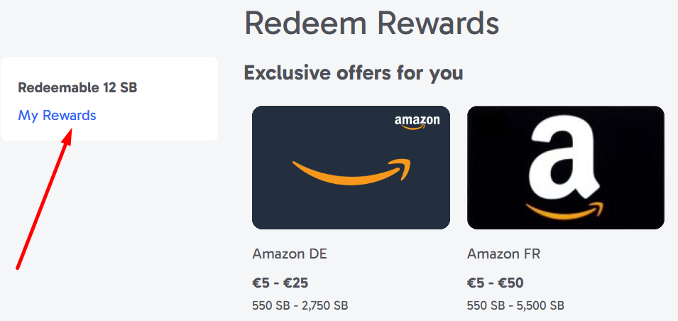 Online Surveys income report